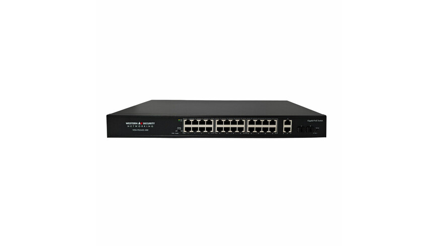 WS Networking WSN-PG2422-300